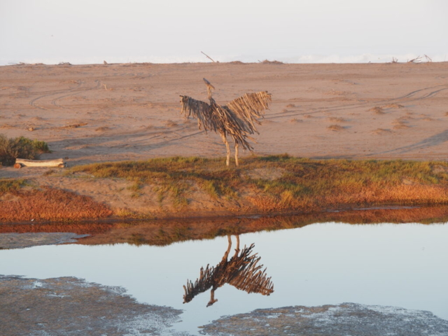 Driftwood art at Oranjemund Beach